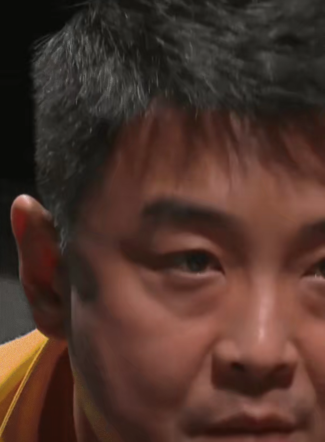 包含德国乒乓球队横扫波兰乒乓球队，王皓完成帽子戏法的词条