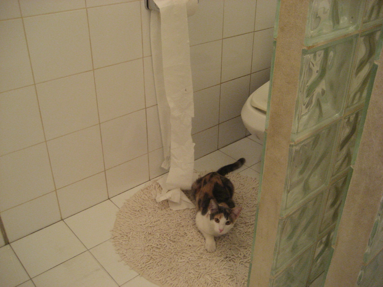 阿坎吉的全胜循环，从苏格兰高地到德甲巅峰的统治力巡礼