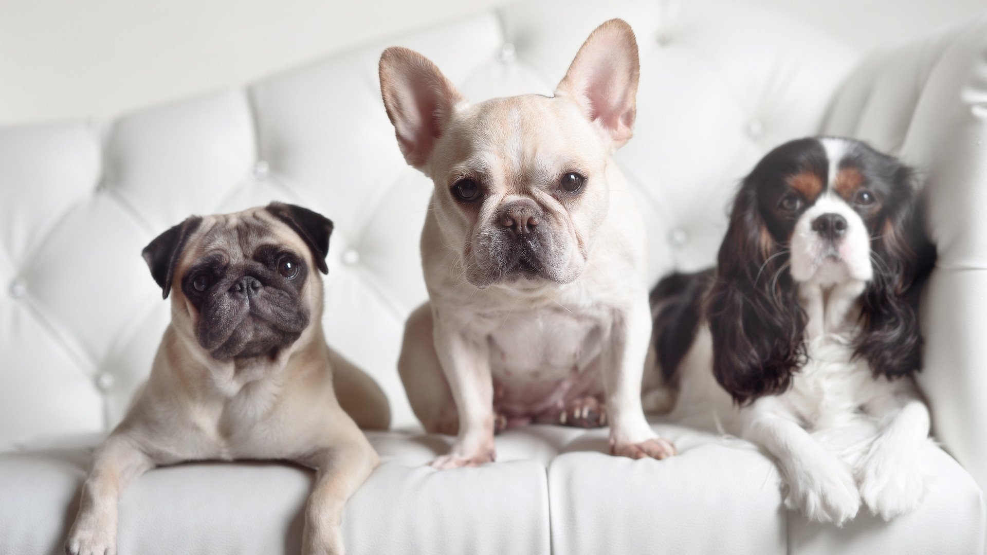 掘金让球转移,欧文让球静止,关于掌控力的两种解法