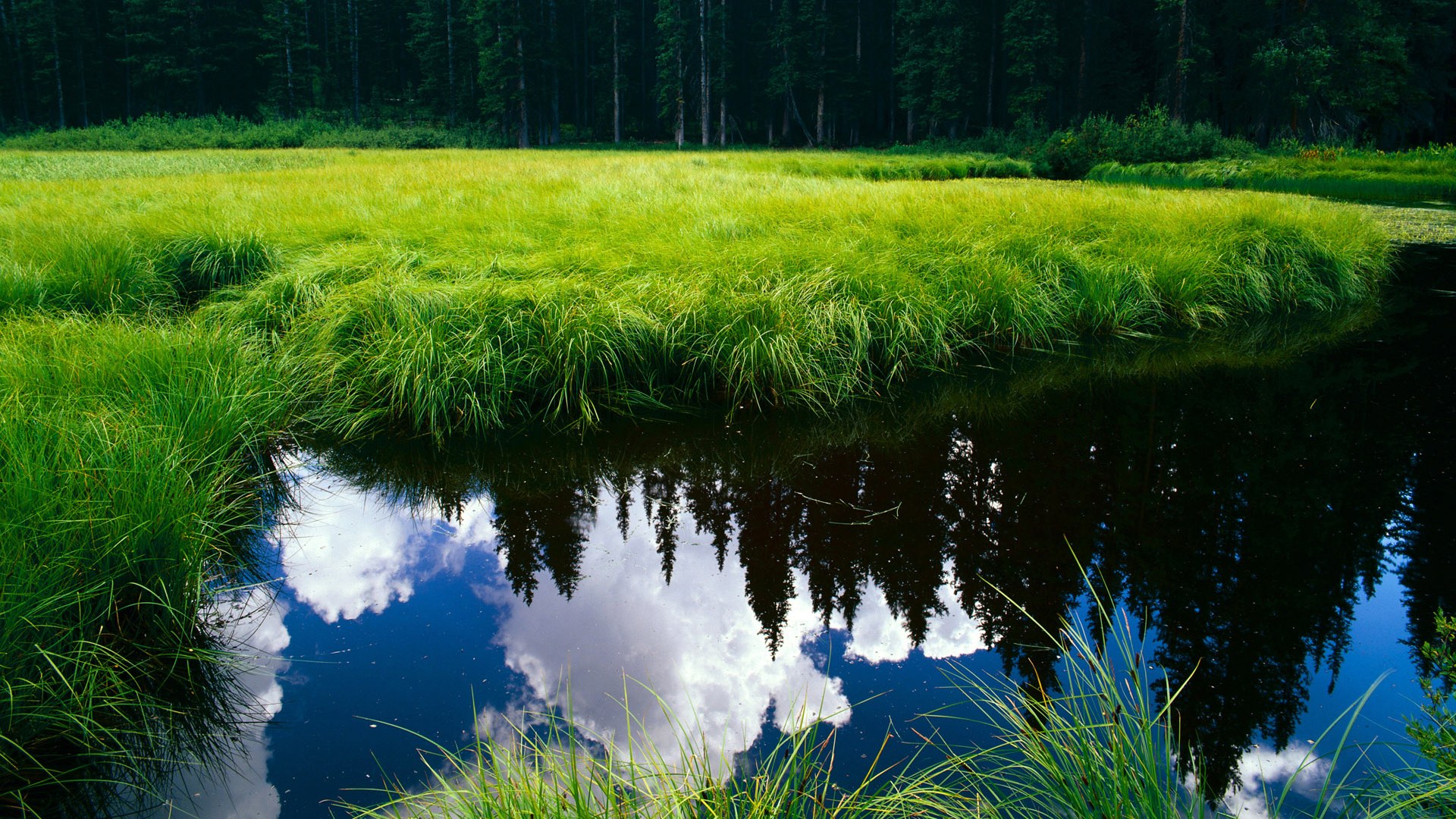 新骑士踏平密城！切特31+12+7打出未来图腾一战