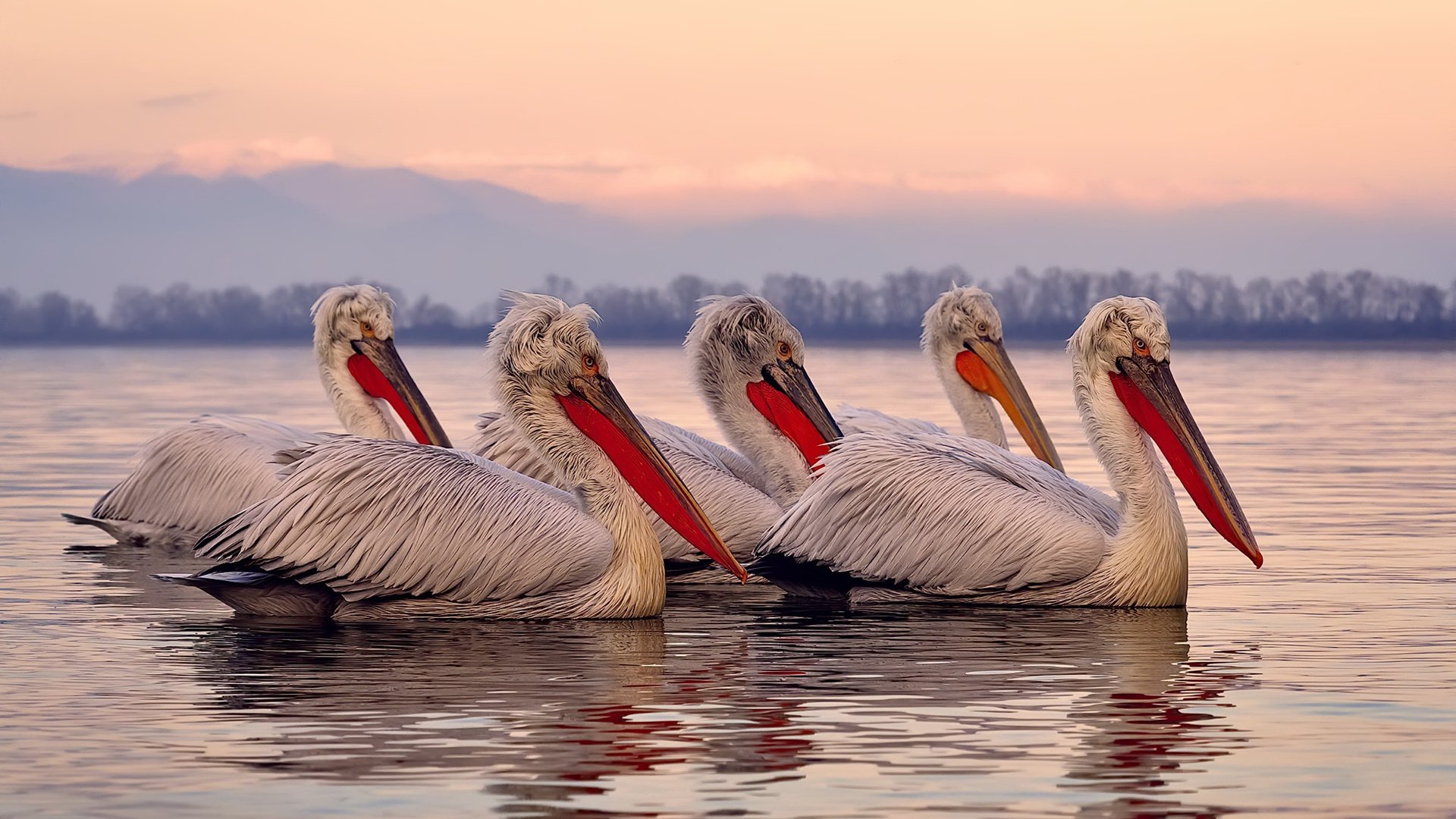 新星闪耀对决老牌劲旅，小贾伦惊艳绽放，76人沉稳掌控熄灭火箭